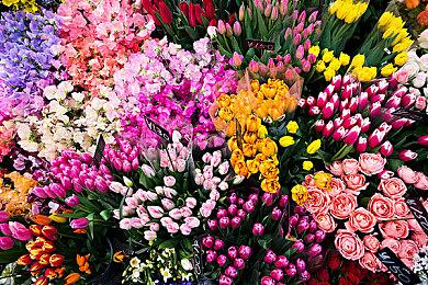 十刃归来《死神：魂魄觉醒》发布妮露参战预告